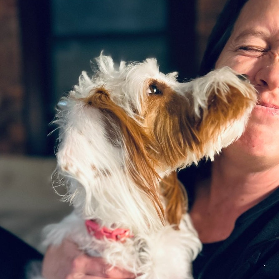 Kazoo News: January 2026