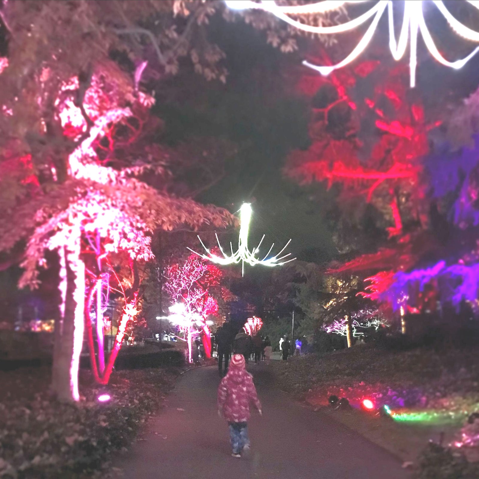 Kazoo News: December Update