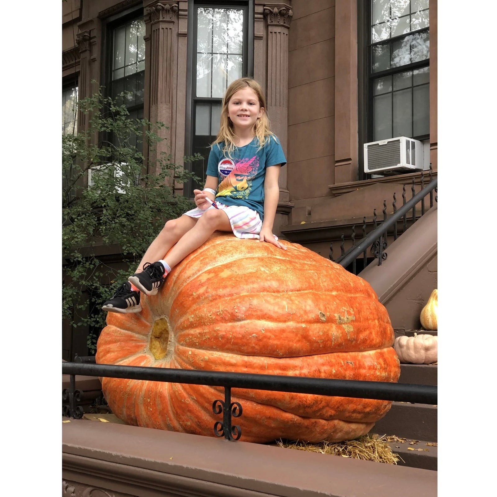 Kazoo News: October Update